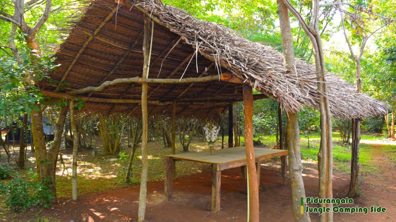 Sigiri Jungle Camping Hotel Sigiriya Ngoại thất bức ảnh