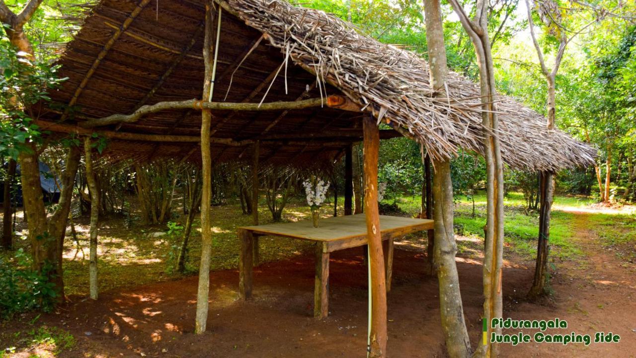 Sigiri Jungle Camping Hotel Sigiriya Ngoại thất bức ảnh